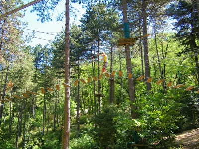 Parc accrobranche